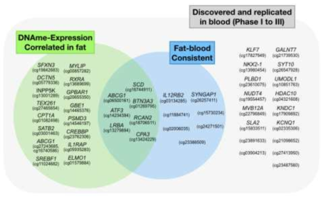 지방조직 DMP, DEG 분석을 통한, 48개 비만특이 CpG의 추가 검증