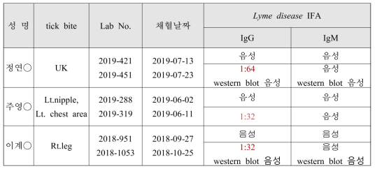 라임병 양성 환자(IFA 4배 상승)의 IFA IgG/M 항체가 결과