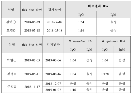 2018~2019년 바토넬라 양성 환자에서 IFA IgG/M 항체가 결과