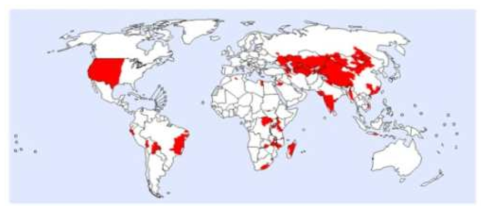 전 세계의 페스트 발생 위험지역 분포