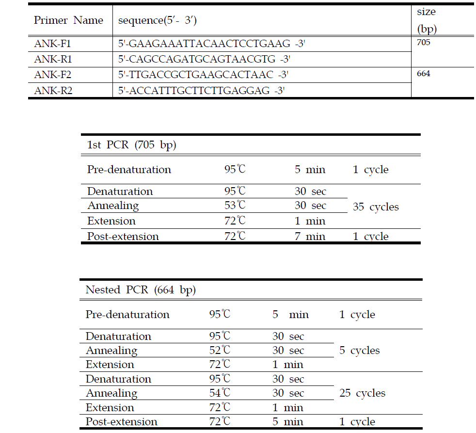 아나플라즈마증 진단을 위한 ankA N-PCR primers 정보 및 PCR 조건