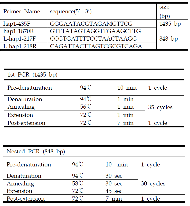 렙토스피라증 진단을 위한 hap1 N-PCR primers 정보 및 PCR 조건