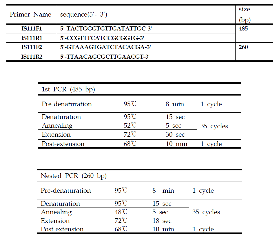 Q열 진단을 위한 IS1111 N-PCR primers 정보 및 PCR 조건