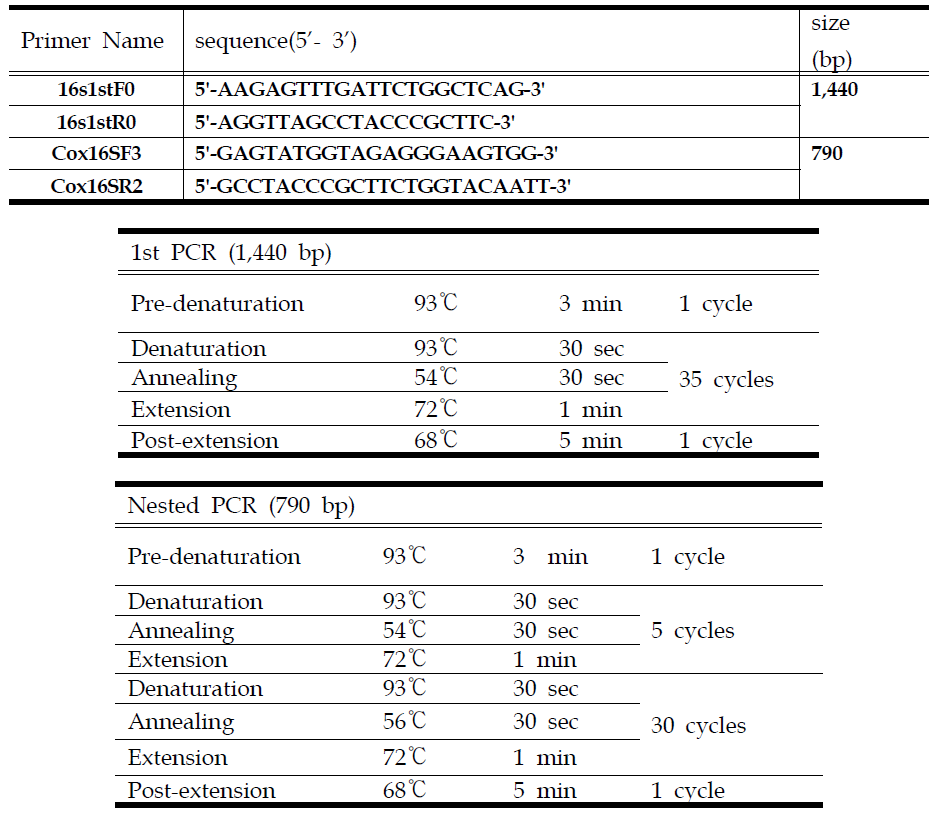 Q열 진단을 위한 16s rRNA N-PCR primers 정보 및 PCR 조건