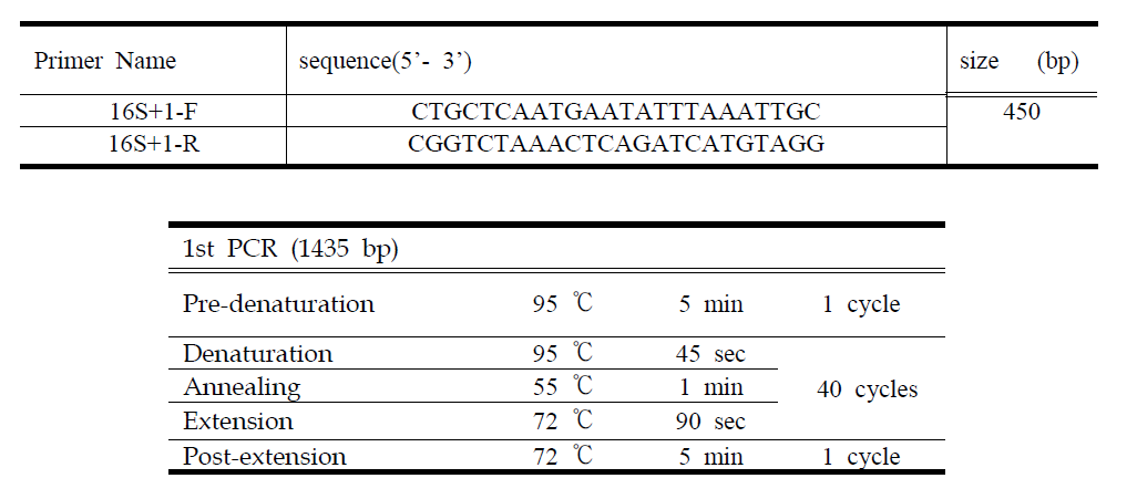 진드기 동정을 위한 16S rRNA C-PCR primers 정보 및 PCR 조건