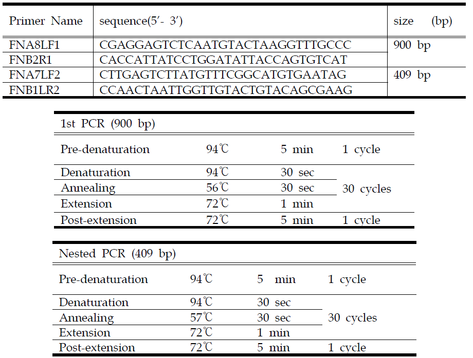 Francisella tularensis 진단을 위한 fopA N-PCR primers 정보 및 PCR 조건