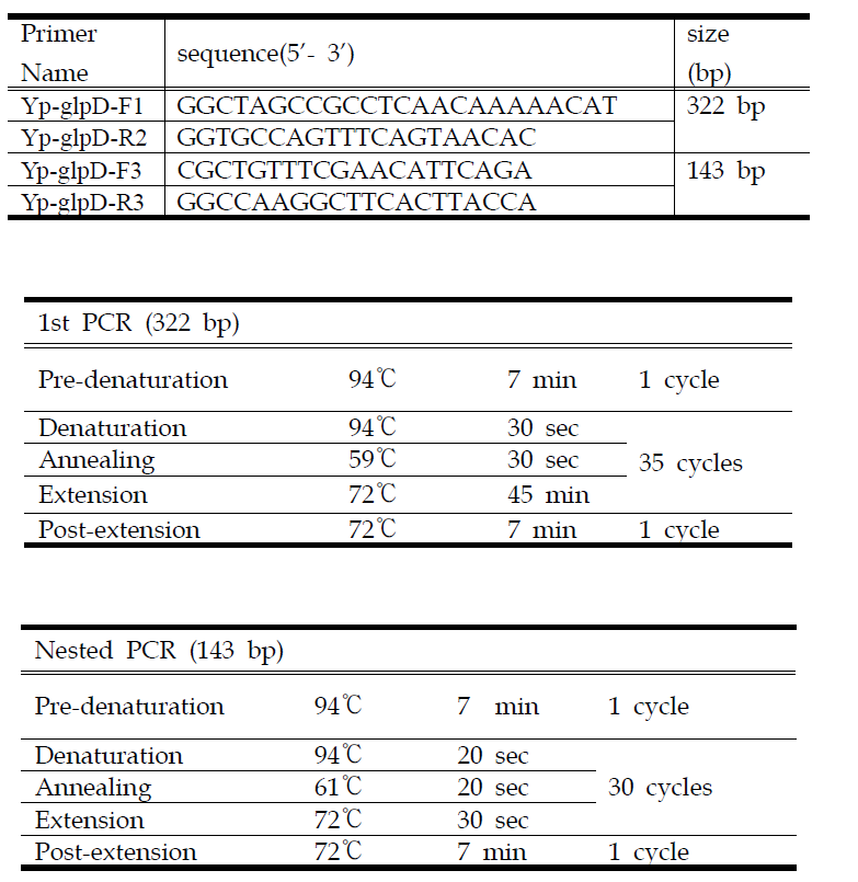 Yersinia pestis 진단을 위한 glpD N-PCR primers 정보 및 PCR 조건