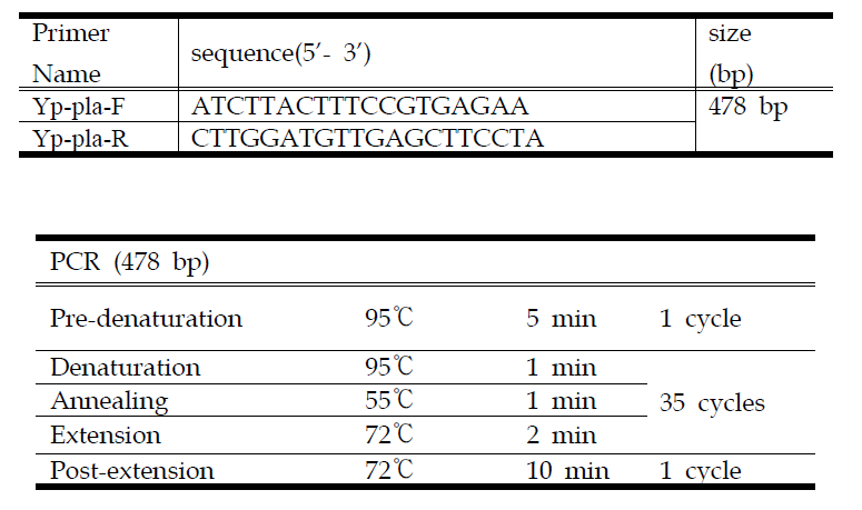 Yersinia pestis 진단을 위한 pla C-PCR primers 정보 및 PCR 조건