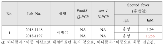 홍반열(Spotted fever) 항체가가 양성인 IFA IgG/M 결과