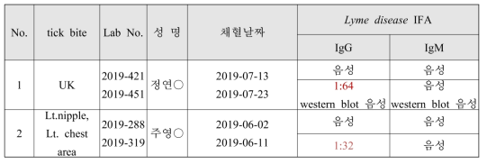 라임병 양성 환자(IFA 4배 상승)의 IFA IgG/M 항체가 결과