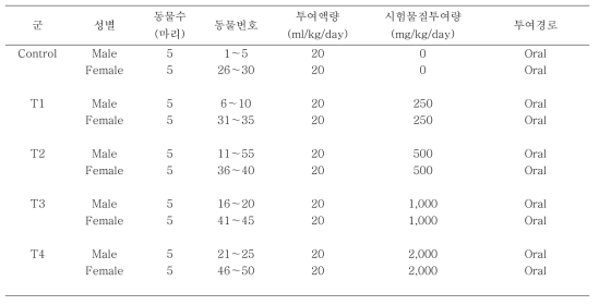 시험군 구성