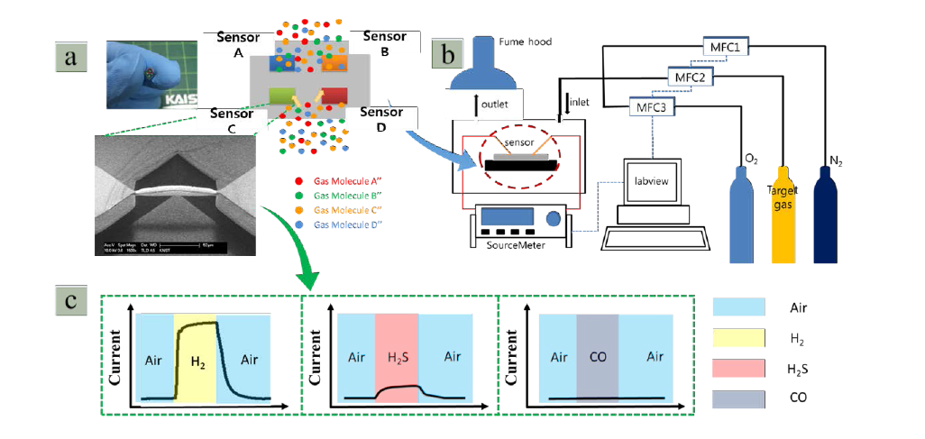 (a) Multiple gas sensors arra; (b) schematics of gas sensing system @ MINT lab, KAIST; and (c) different gas sensing signals of gas sensor array