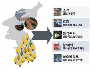 소나무 방제에 대한 현재 기술의 한계