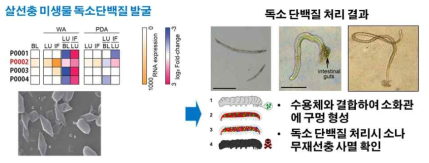 살선충 미생물 독소 단백질 발굴