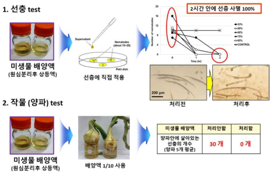 신남알데하이드 살선충 검증