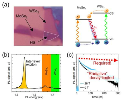 (a) 실험적으로 만들어진 TMDC heterostructure의 광학적 현미경 사진과 interlayer Exciton의 개념도. (b) MoSe2/WSe2 interlayer Exciton의 광방출 스펙트럼. (c) 시간에 따른 interlayer Exciton의 광방출 세기 변화