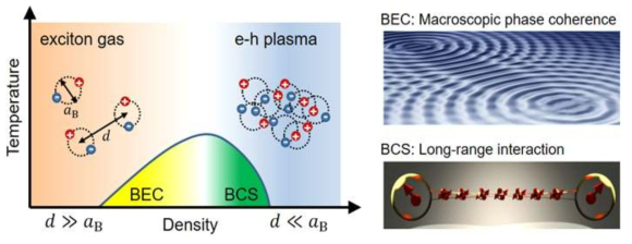 (좌측) 밀도와 온도에 따른 Exciton의 위상도 도식. (우측) BEC와 BCS 상에서 관측되는 대표적 양자 현상