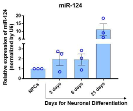 마이크로RNA-124의 real time PCR 결과