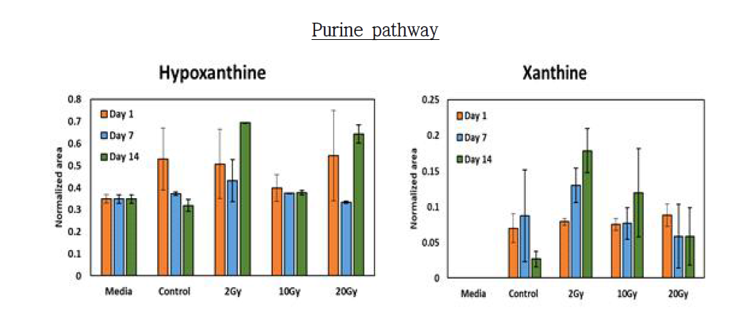 purine pathway에 있는 hypoxanthine과 xanthine의 peak area값 비교 그래프