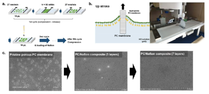 a) Separate addition 및 반복압축을 통한 Nafion 초박막의 합성 과정 모식도. b) 랑뮤어-블로드겟 적층방식을 활용한 이온 분리막 제작 과정. c) Nafion 초박막이 표면에 도입된 Nafion/PC 복합막의 표면 SEM 이미지