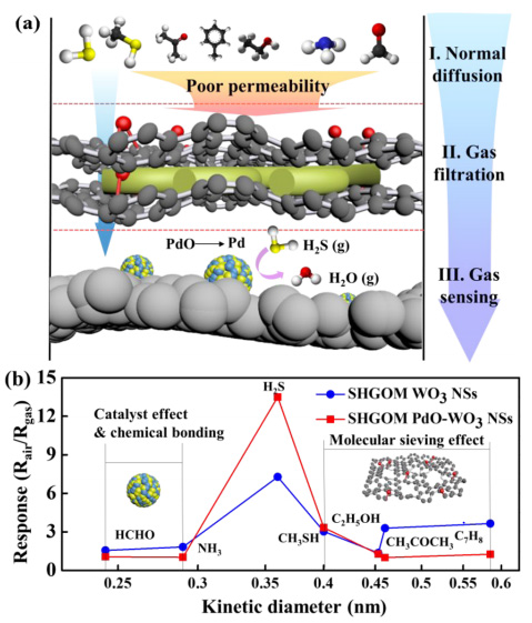 (a) PdO 촉매가 결착된 WO3 나노쉬트 기반 감지소재층에 기공도가 조절된 그래핀 산화물 기반 분자거름체층이 결착된 감지소재 플랫폼 이미지, (b) 포름알데하이드, 암모니아, 황화수소, 메틸마르캅탄, 에탄올, 아세톤, 톨루엔 기체 분자의 동역학 직경 및 감도 그래프
