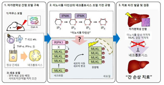 연구계획 모식도