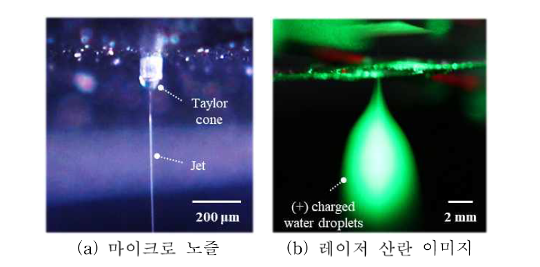 Cone jet 모드 정전분무 분무 양상 관찰 결과 (유량: 0.2 ml/h, 외경: 110 μm, 높이: 180 μm)