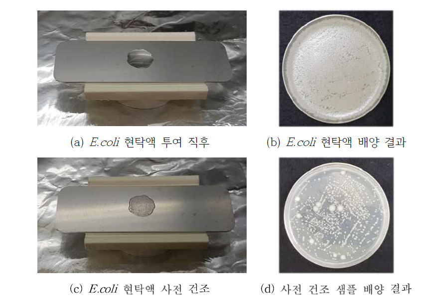 미생물 사전 건조 여부 차이