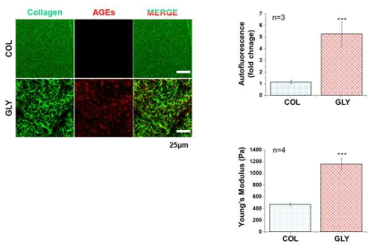 Characterization of glycated collagen