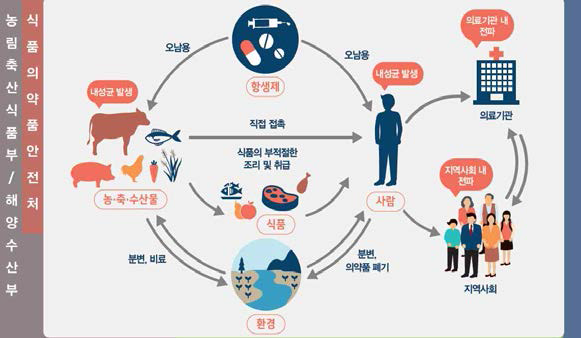 항생제 내성균의 발생 및 전파 (국가 항생제 내성 관리대책, 2016)