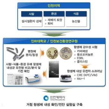 연구개발 요약도