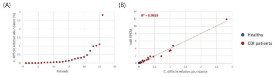 Relative abundance of Clostridioides difficile in the gut microbiome of 26 patients with CDI. (A) Distribution of tcdB abundance in the gut microbiota of 26 CDI patients; it ranges from 0% to 2.82%. (B) Correlation between tcdB abundance and abundance of C. difficile based on clade-specific marker genes