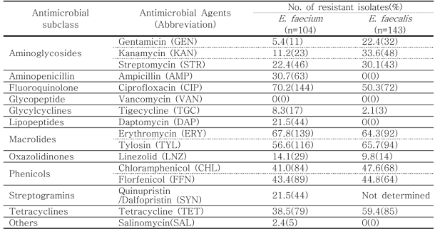 정상 육계에서 분리된 장알균(247 균주)의 항생제 내성