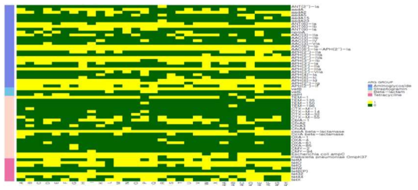 항생제 계열별 내성 유전자 분포