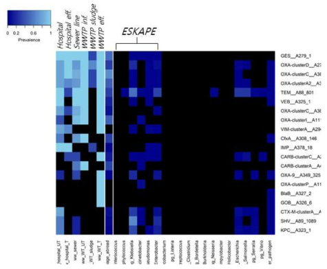 하수와 병원균의 공통적인 beta-lactam 내성 유전자 clusters