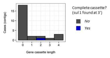 도심하수 microbiome 메타유전체 assembly에서 발견되는 class 1 integron 내성 전달체 gene-cassette 길이