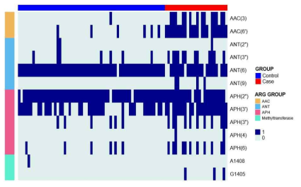 Aminoglycoside의 내성 유전자 유무 히트맵