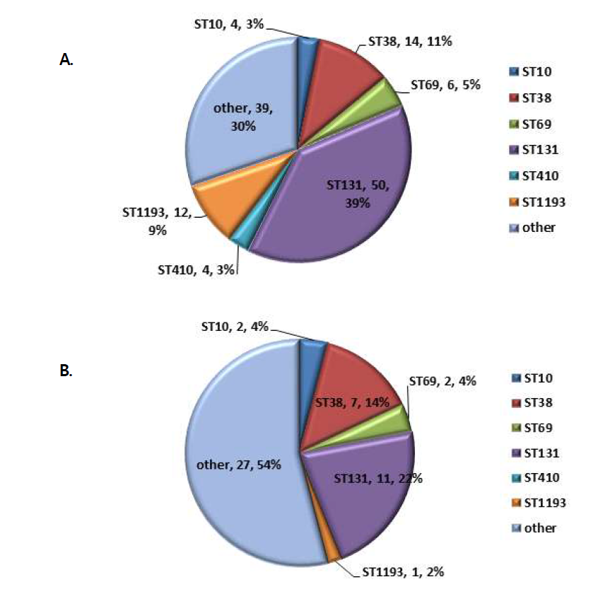 Distribution of ST types of Multi-drug resistance E. coli strains isolated from clinical(A) and environmental(B) samples in 2017-2019