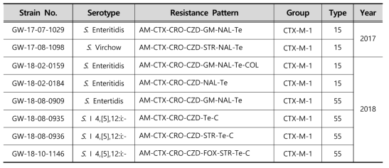 Characterization of ESBL-producing Salmonella spp. strains isolated from clinical samples in 2017-2018