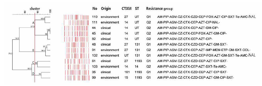 UPGMA analysis of PFGE profiles of E. coli with 87.9% similarity isolated from clinical and environmental samples