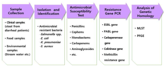 Flow diagram for study of antimicrobial resistance bacteria