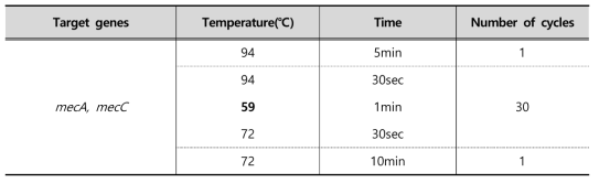 PCR conditions used to detection of meticillin resistance genes