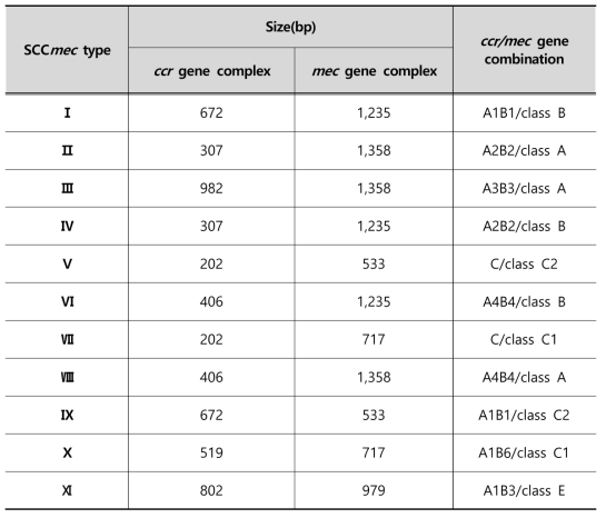 SCCmec type determination of S. aureus