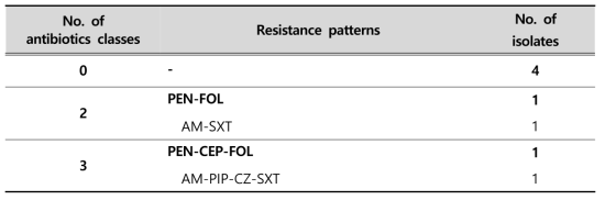 Multi-drug resistance patterns of E. coli strains isolated from environmental samples in 2017