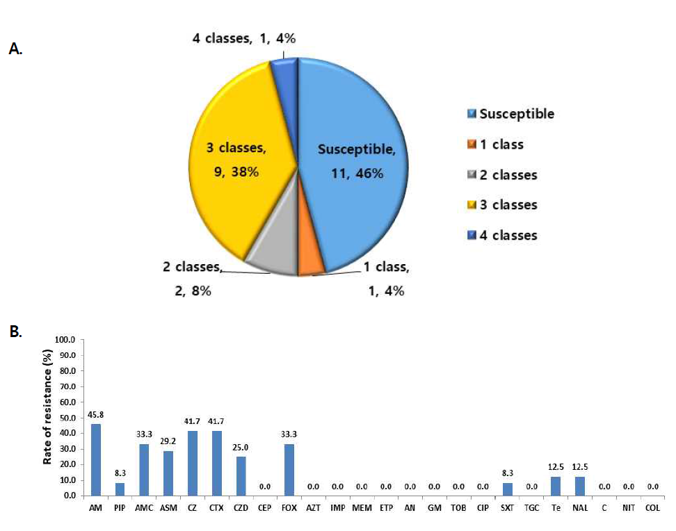 Multi-drug(A) and antimicrobial(B) resistance rate of E. coli strains isolated from clinical samples in 2019