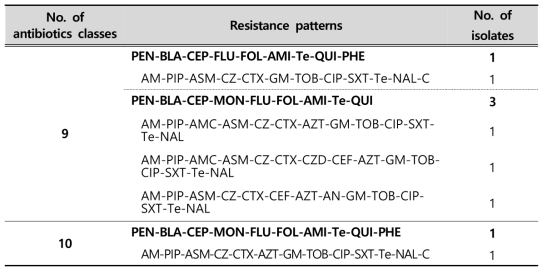 (Continued) Multi-drug resistance patterns of E. coli strains isolated from environmental samples in 2019