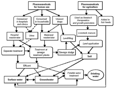 Routes of pharmaceutical contamination of the aquatic and soil environment(Hirsch R, 1999)