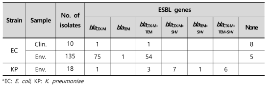 Resistance gene types of ESBL-producing strains isolated from clinical and environmental samples in 2019