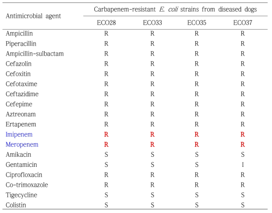 환자견 분리 carbapenem 내성 E. coli 4주의 항균제감수성