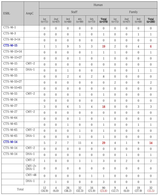 2018-2019년 사람 분리 ESBL/AmpC 생성 E. coli 내성 유전자형 빈도